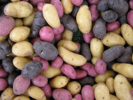 La storia nutrizionale della patata