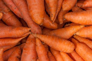 Testimonianza - Succo di carota al posto del latte artificiale