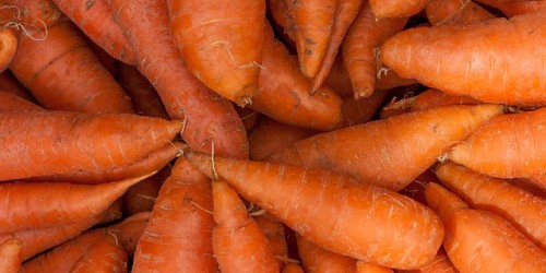 Testimonianza - Succo di carota al posto del latte artificiale