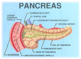 Testimonianza di guarigione dal tumore al pancreas